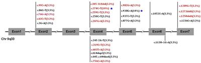 Phenotype and Molecular Characterizations of 30 Children From China With NR5A1 Mutations